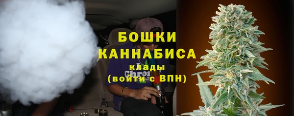 ПСИЛОЦИБИНОВЫЕ ГРИБЫ Алексеевка