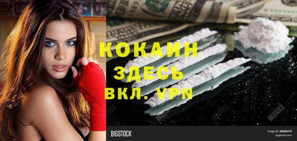тгк Алзамай