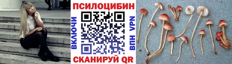 Псилоцибиновые грибы MAGIC MUSHROOMS Фрязино