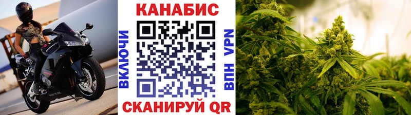 магазин продажи наркотиков  mega как зайти  МАРИХУАНА LSD WEED  Фрязино 